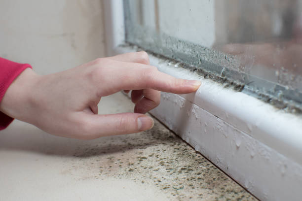 Best Mold Remediation for Healthcare Facilities  in Churchville, PA