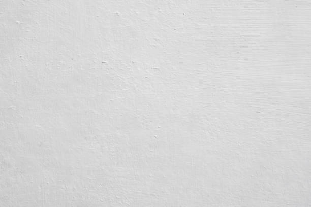 Best Basement Mold Removal  in Churchville, PA