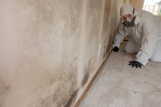 Best Water Damage & Mold Remediation  in Churchville, PA